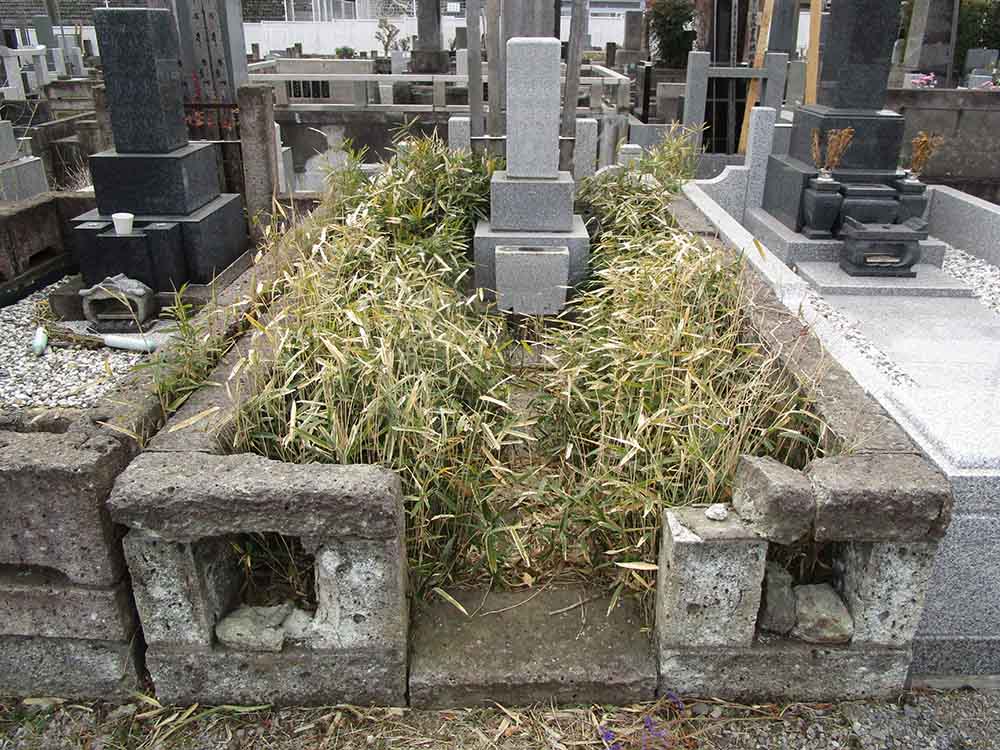 都立雑司ケ谷霊園の墓じまい完全ガイド:手順、費用、施設変更制度まで | 墓じまい代行なら墓じまい供養