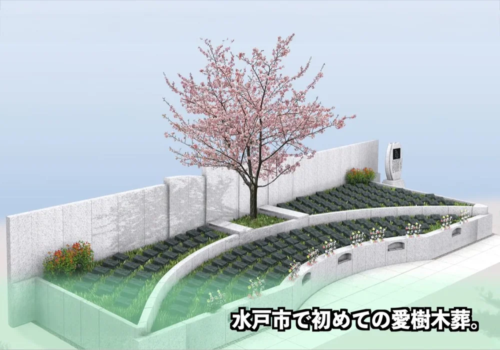 墓じまい後の改葬先のご紹介
