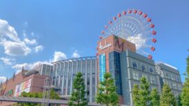 横浜市港北区で改葬をお考えの方へ｜改葬許可証申請書の入手・手続き方法を解説