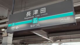 横浜市緑区で改葬をお考えの方へ｜改葬許可証申請書の入手・手続き方法を解説