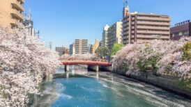 横浜市南区で改葬をお考えの方へ｜改葬許可証申請書の入手・手続き方法を解説