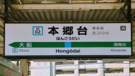 横浜市栄区で改葬をお考えの方へ｜改葬許可証申請書の入手・手続き方法を解説