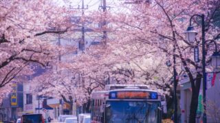 横浜市青葉区で改葬をお考えの方へ｜改葬許可証申請書の入手・手続き方法を解説