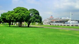 横浜市中区で改葬をお考えの方へ｜改葬許可証申請書の入手・手続き方法を解説