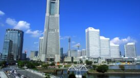 横浜市西区で改葬をお考えの方へ｜改葬許可証申請書の入手・手続き方法を解説