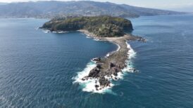 真鶴町で改葬をお考えの方へ｜改葬許可証申請書の入手・手続き方法を解説