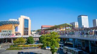 海老名市で改葬をお考えの方へ｜改葬許可証申請書の入手・手続き方法を解説