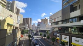 座間市で改葬をお考えの方へ｜改葬許可証申請書の入手・手続き方法を解説