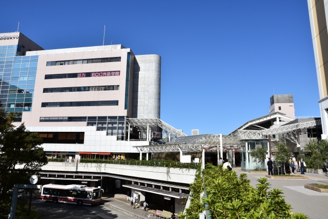 川崎市麻生区で改葬をお考えの方へ｜改葬許可証申請書の入手・手続き方法を解説