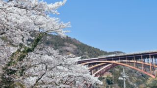 山北町で改葬をお考えの方へ｜改葬許可証申請書の入手・手続き方法を解説