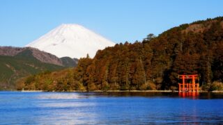 箱根町で改葬をお考えの方へ｜改葬許可証申請書の入手・手続き方法を解説