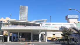上尾市で改葬をお考えの方へ｜改葬許可証申請書の入手・手続き方法を解説