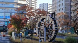 新座市で改葬をお考えの方へ｜改葬許可証申請書の入手・手続き方法を解説