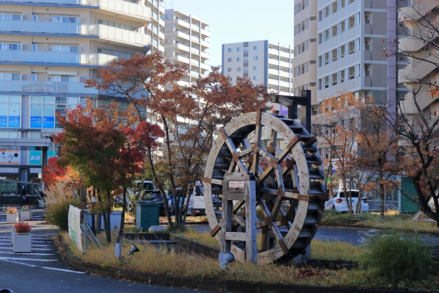新座市で改葬をお考えの方へ｜改葬許可証申請書の入手・手続き方法を解説