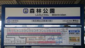 滑川町で改葬をお考えの方へ｜改葬許可証申請書の入手・手続き方法を解説