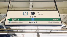 蕨市で改葬をお考えの方へ｜改葬許可証申請書の入手・手続き方法を解説